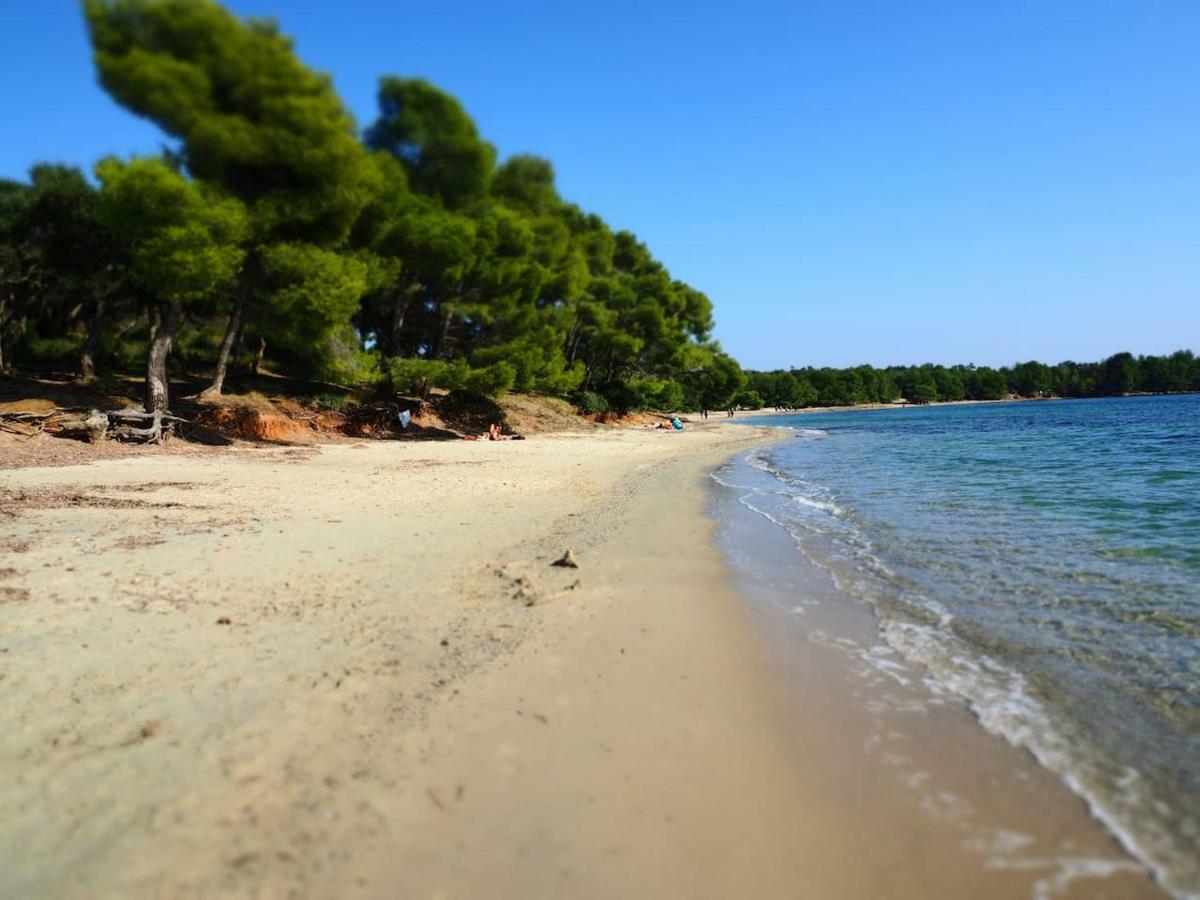 La Londe La Mer : Appartement Proche Plages & Vue Superbe Sur Les Iles D'Or Экстерьер фото