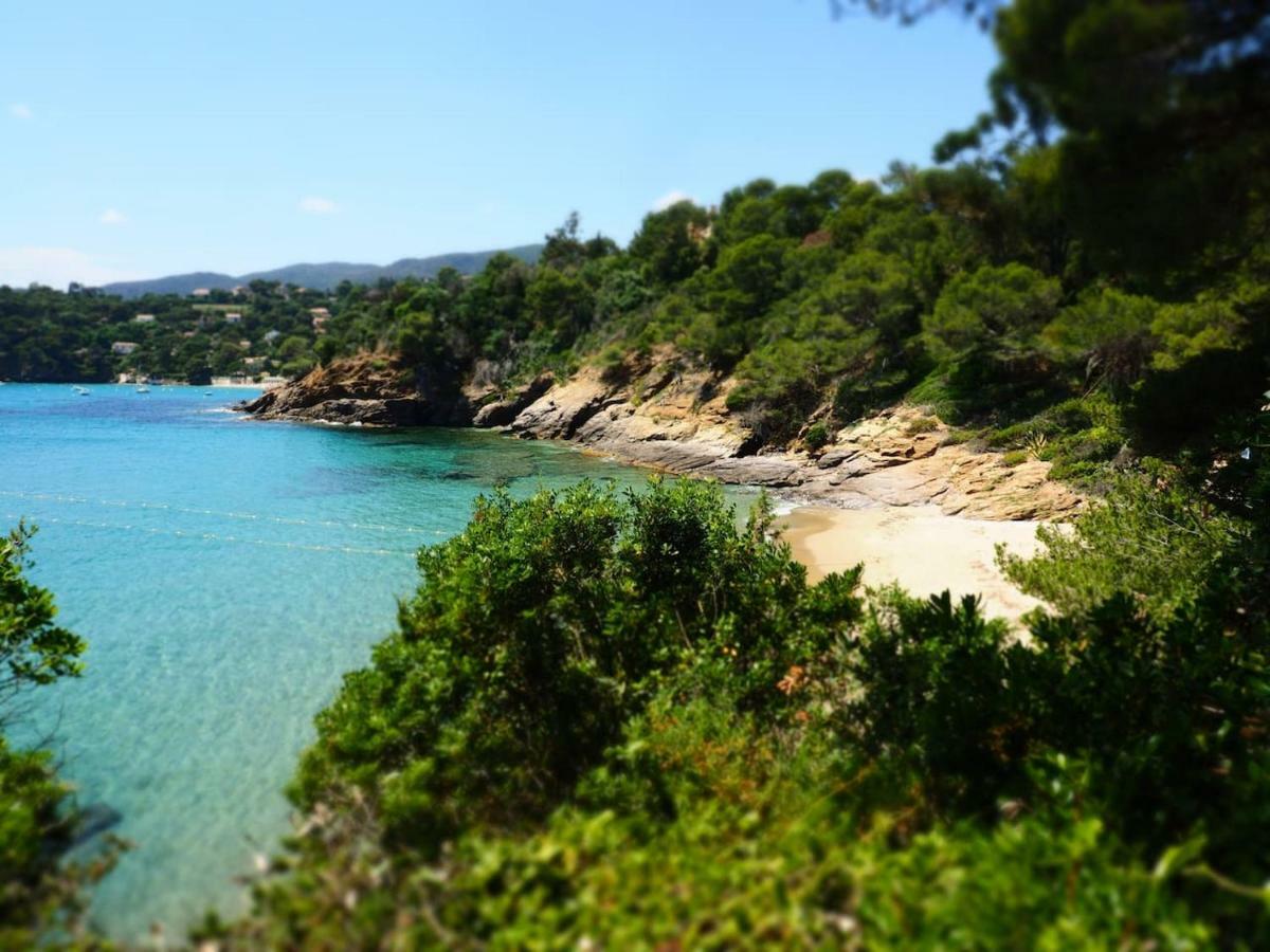 La Londe La Mer : Appartement Proche Plages & Vue Superbe Sur Les Iles D'Or Экстерьер фото